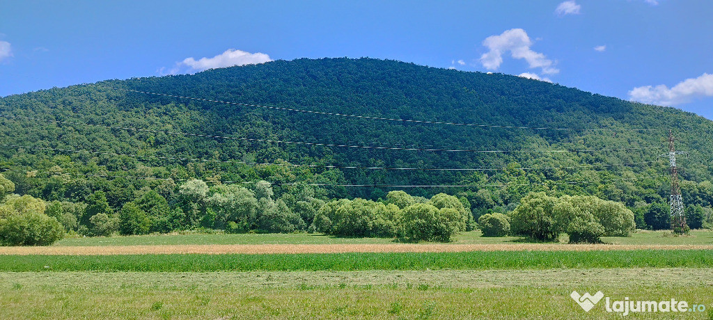 Teren forestier unic cu traseu de drumeție către Cetatea Herecz – 77.0