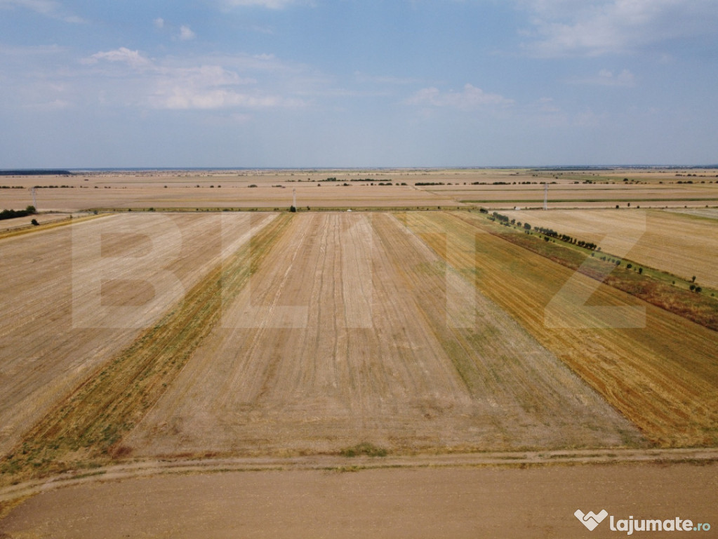 Teren Intravilan, Mircea Voda