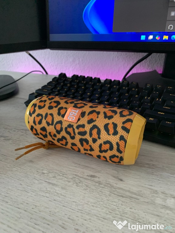 Boxa Portabila Noua
