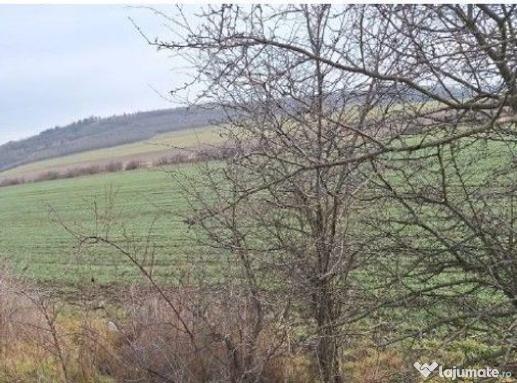 Teren cota parte 1/12 Deleni, ID: R2662164