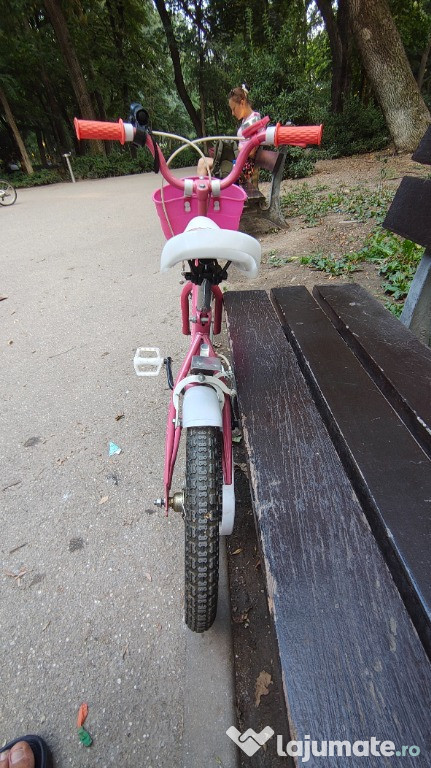 Bicicleta fetite