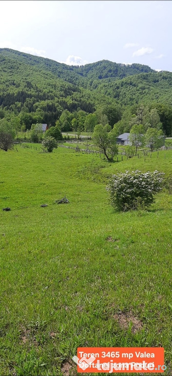 Teren de vanzare 3465 mp Valea Doftanei, zona Poduri