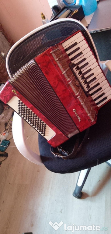 Vand Acordeon Muzical 350€