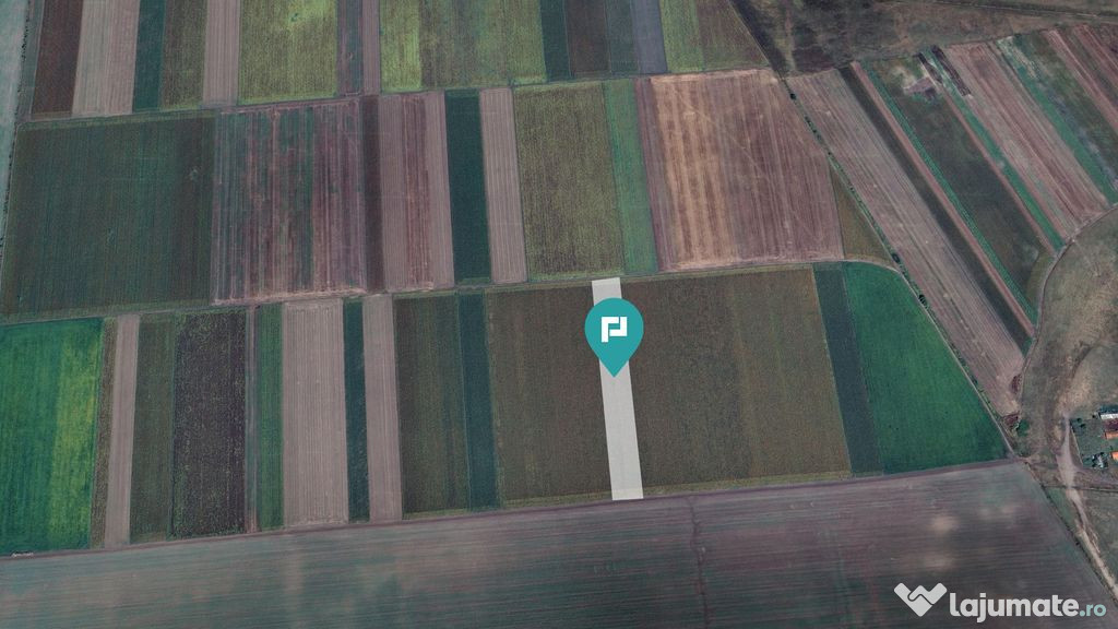 Teren extravilan de 14.500 mp în Caporal Alexa