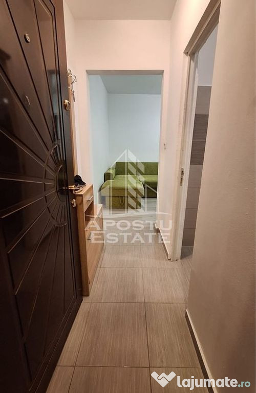 Apartament de inchiriat 2 canere sagului, pet frandly