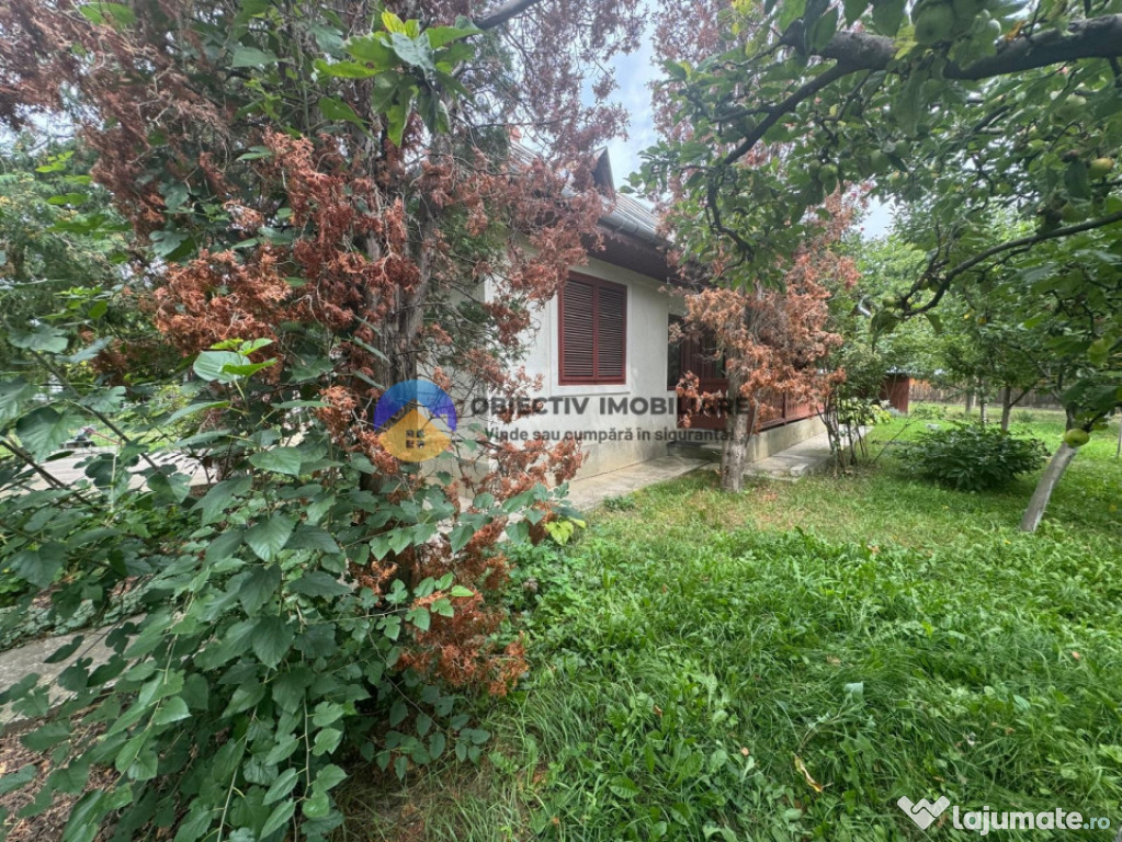 Casă tradițională de vânzare în comuna Podoleni, jud.