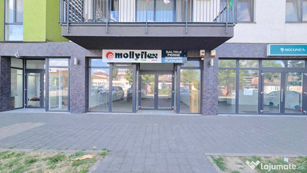Spațiu comercial de închiriat, Calea Aradului/str. N. Bolcaș