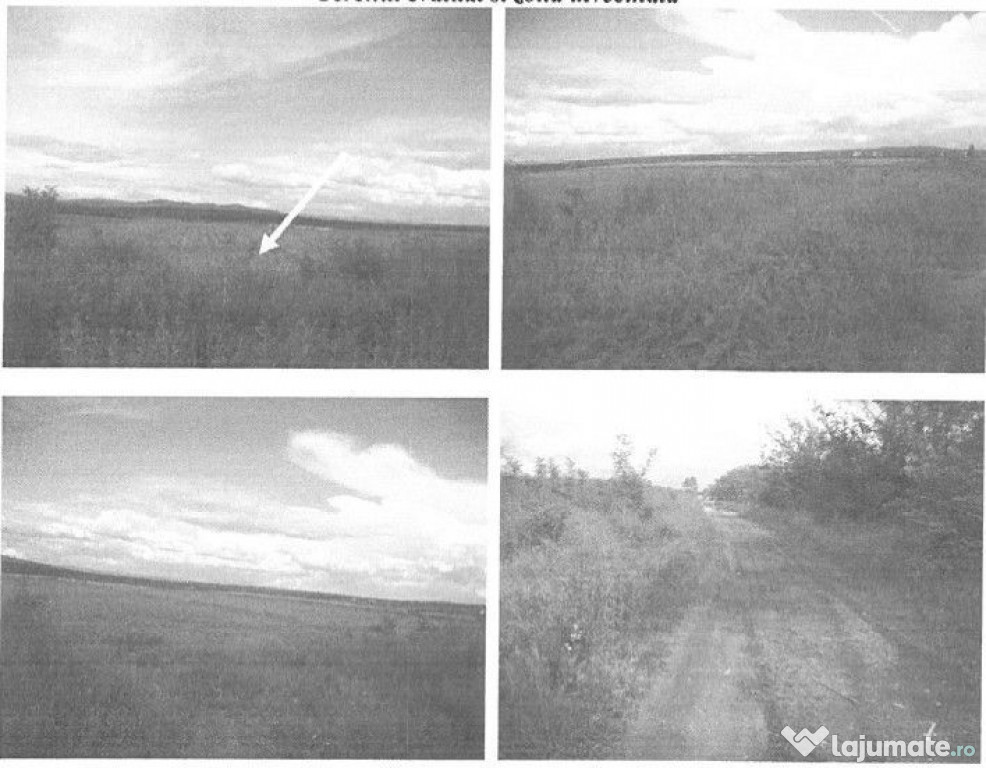 Teren extravilan 10000 mp Dumbrava, Prahova - 3080530