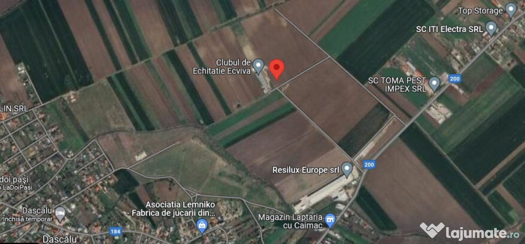 Teren extravilan Dascalu, 10000 mp