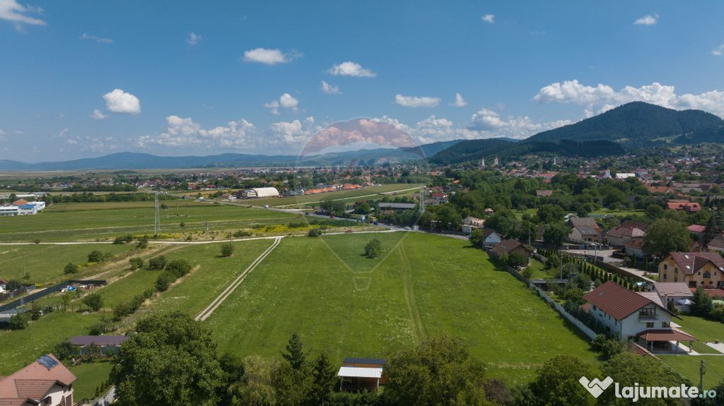 Lot de casa intrare Sacele -Strada Iernii, 513mp