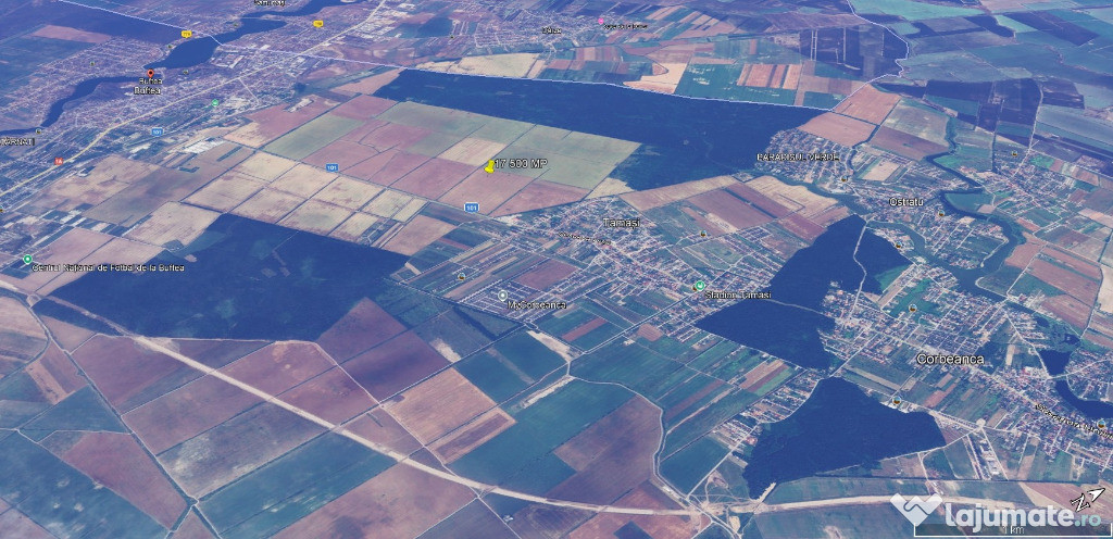 Buftea – Teren intravilan 17.500 mp, oportunitate logistică, d=53 m
