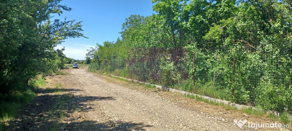 Săbăreni, lot de casă 500 mp, curent lângă teren