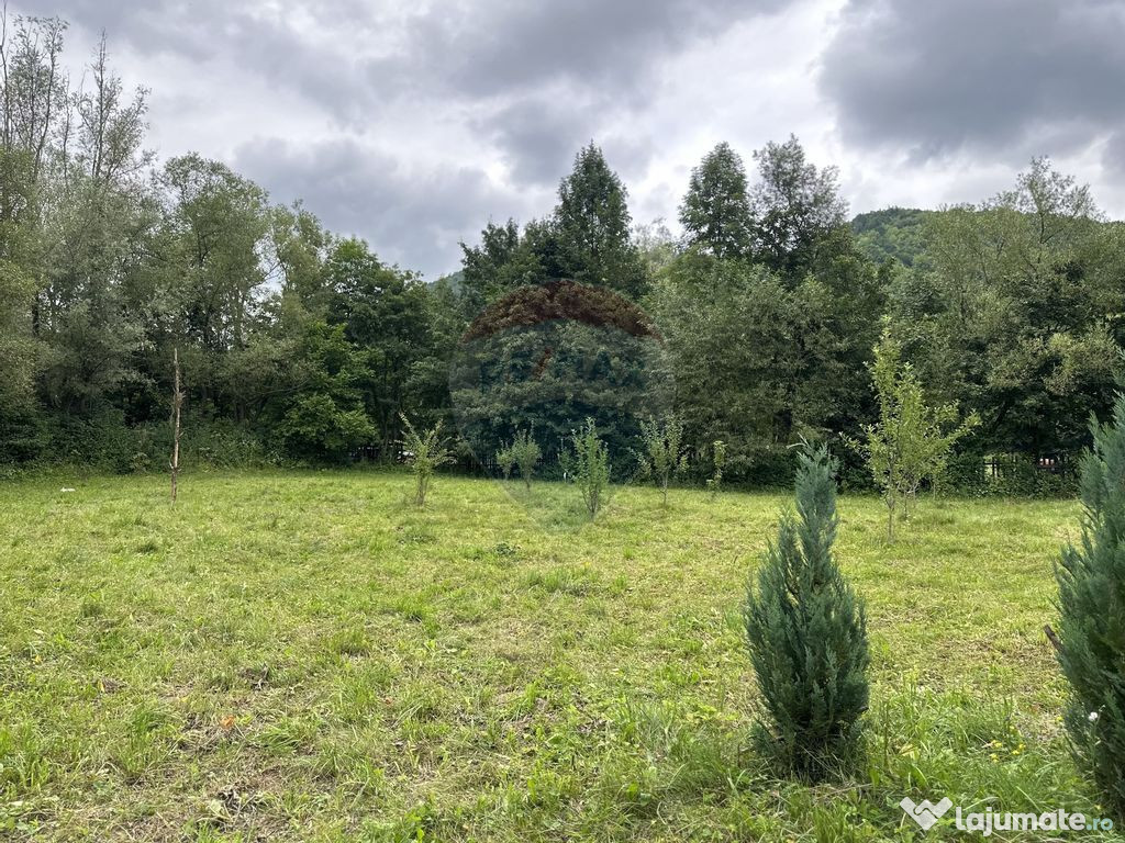 Teren de vanzare Cuiejdel 1350 mp