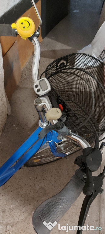 Bicicleta de dama sau bărbați