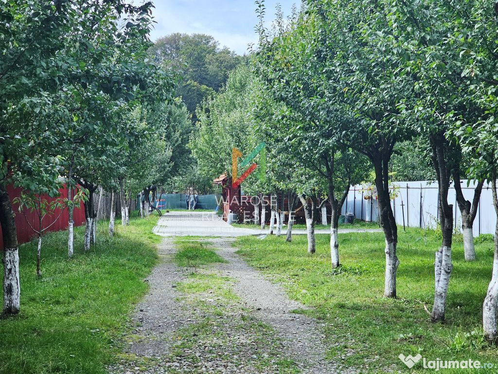 Teren 2000 | Casa | Foisor | Livada | Zizin | Brasov