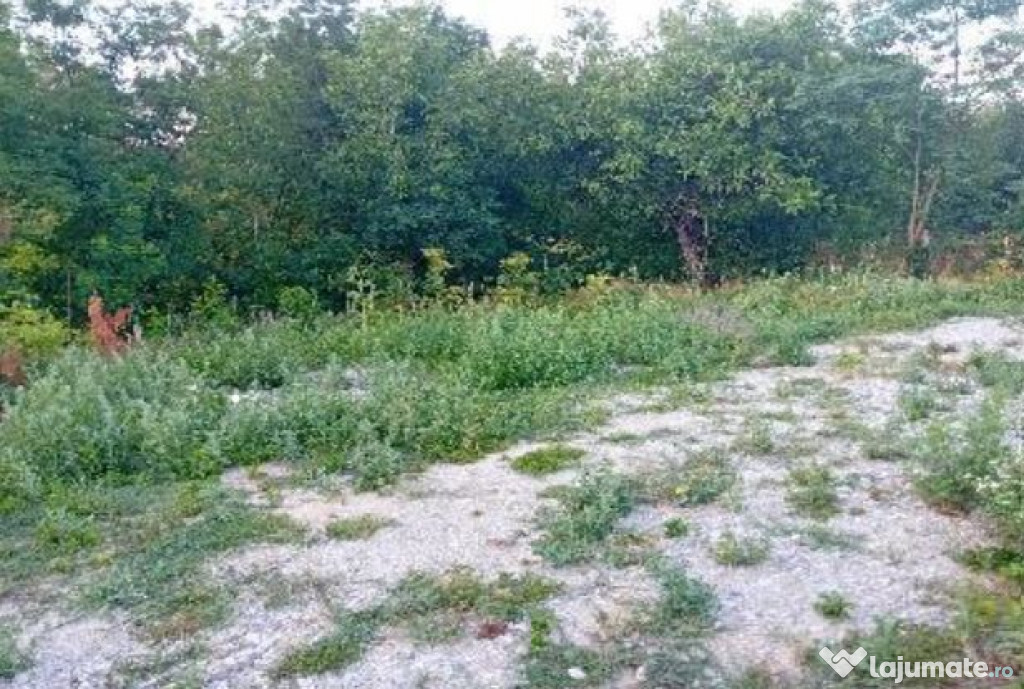-teren intravilan, loc. Daesti, jud. Valcea