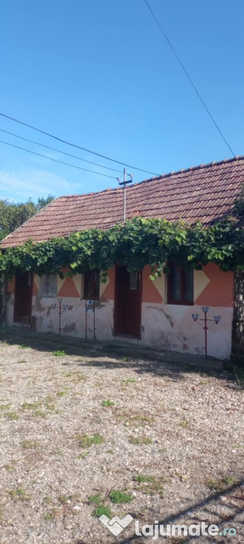 Casa Gâmbaș, Alba