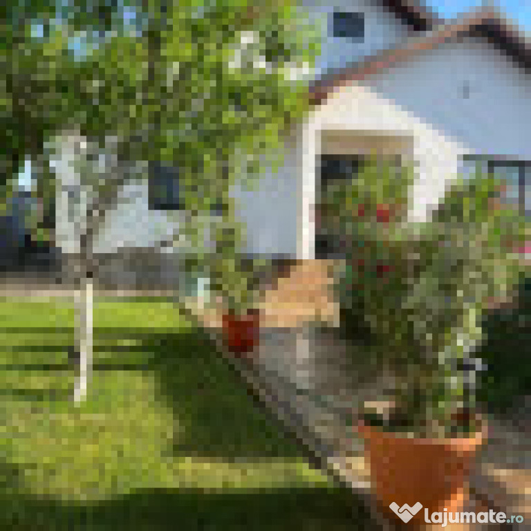 Casa parter, 100 mp utili, 380 mp teren, Preajba Smart Pub