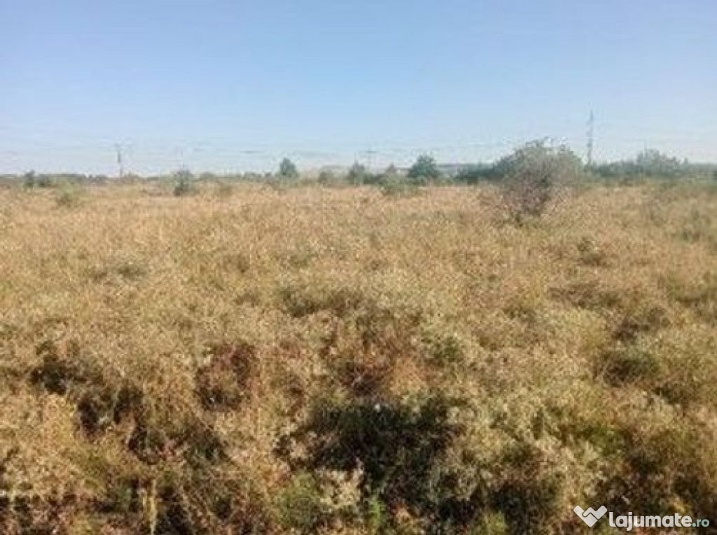 Targu Neamt, Punct Manesti, cota parte 1/2, ID: R2759107