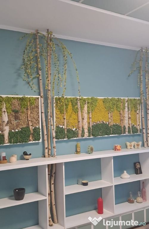 De inchiriat – Spatii de birouri in Micro 16, Galati