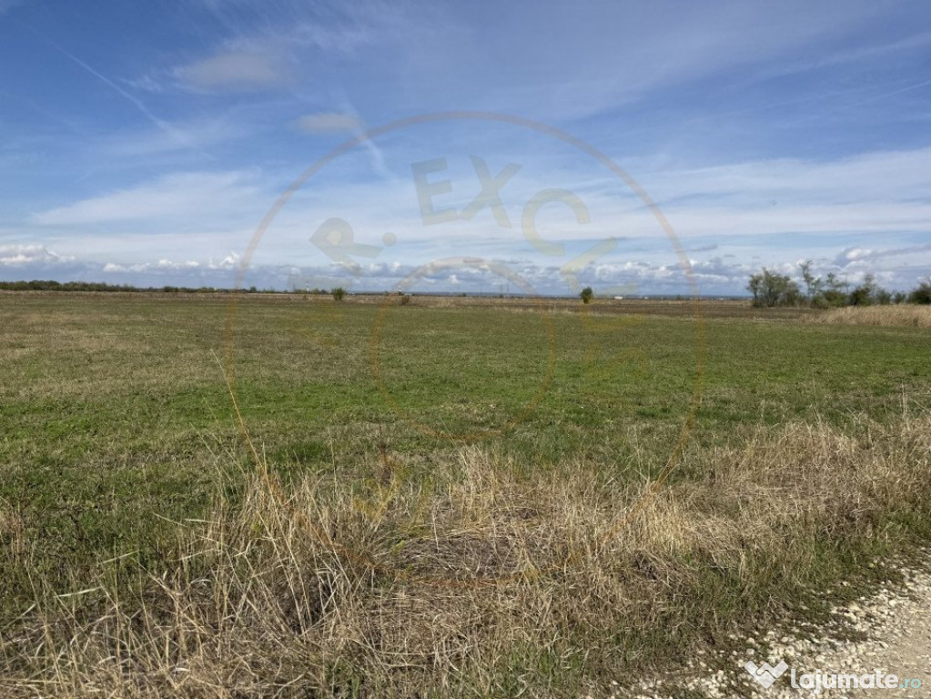 Teren intravilan 3700 mp - zona linistita