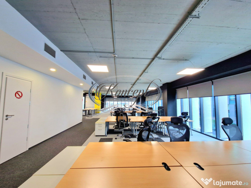 Birouri open-space si sali de sedinta complet echipate, Scal