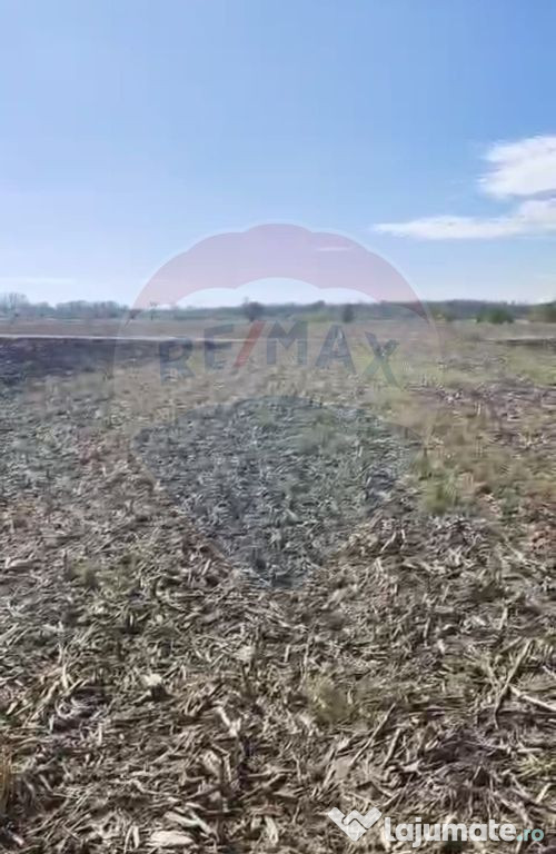 Teren 2,900mp Tantava / Strada Tufan