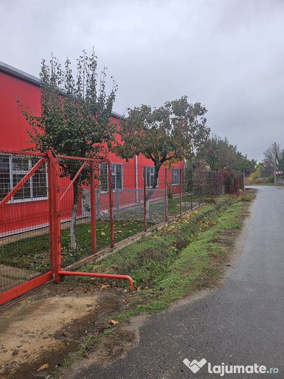 Hala 437 mp Domnesti - Pasaj