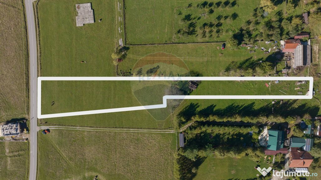 Teren 3.997 mp, priveliște superbă Plaiul Foii, 0% comi...