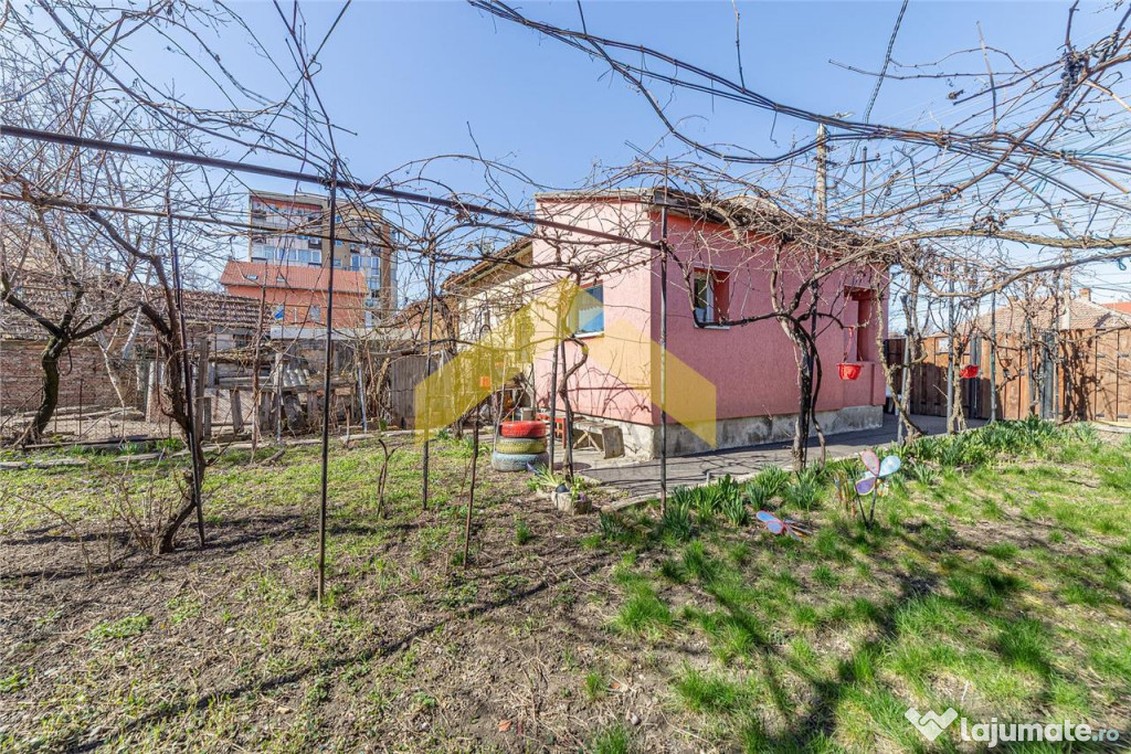 Spatiu comercial de in Micalaca, Calea Radnei