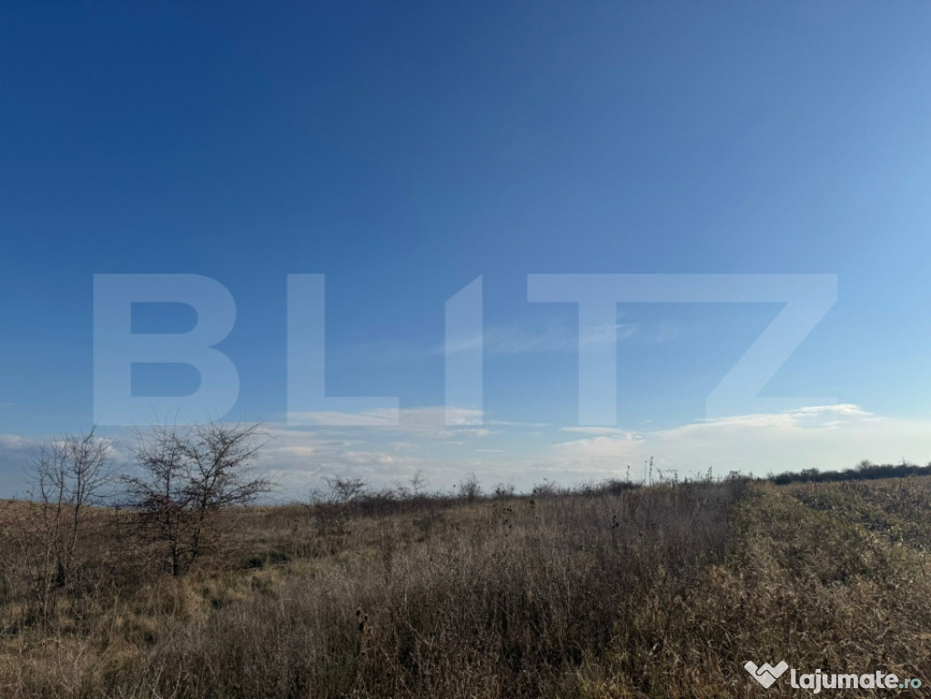 Teren extravilan 1700 mp, zona Archia