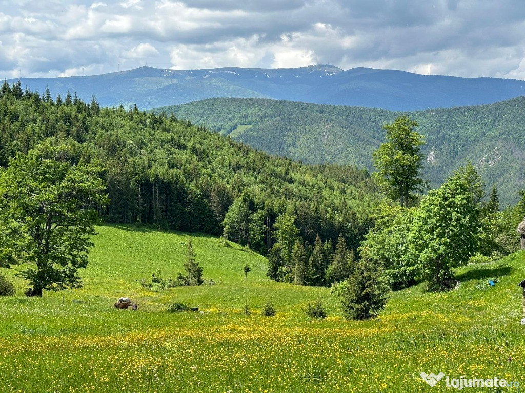Terenuri extravilane de vânzare – Cozieni, jud. Buzău