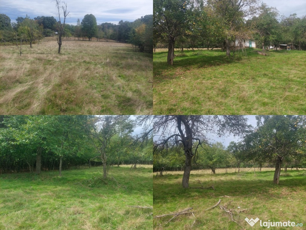 Teren 15826 mp + padure 1 ha