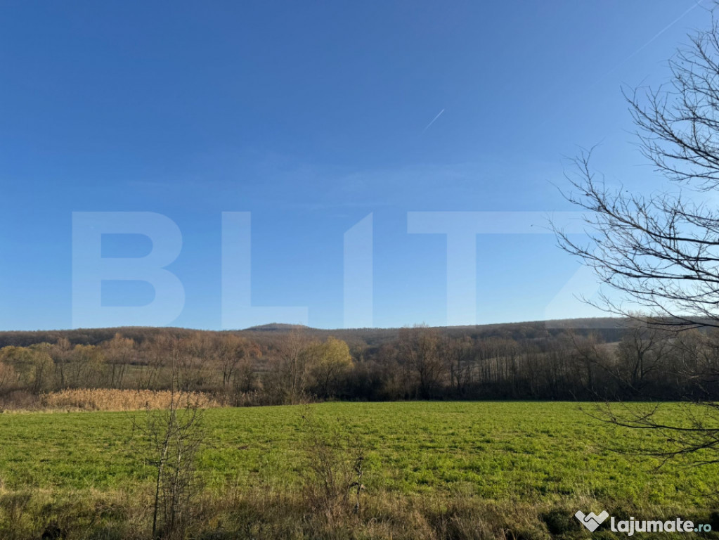 5 terenuri extravilane agricole cu suprafata totala de 13.37