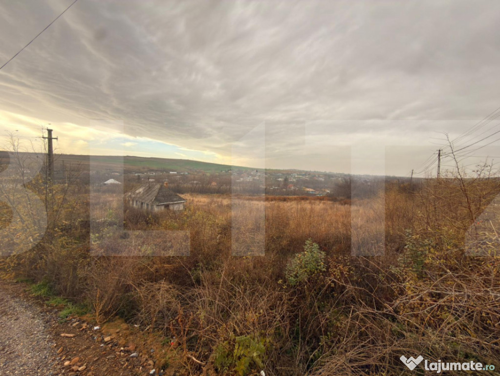 ???? Teren intravilan 3.666 mp – Buzeni / Zăicești, jud.