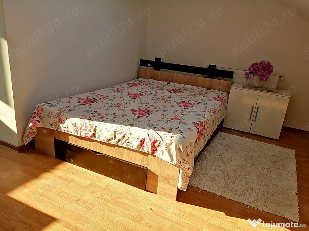 Dimitrie leonida vila etaj 2