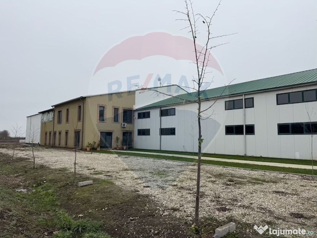 Proprietate agro-industrială premium – 43 ha lângă B...