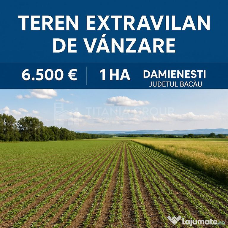 Teren extravilan agricol 1 ha de vânzare- Damienești, B...