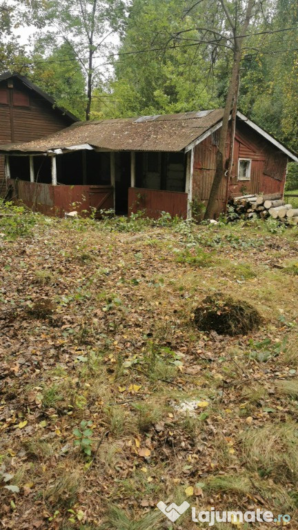 Firiza, 4,5 ari teren