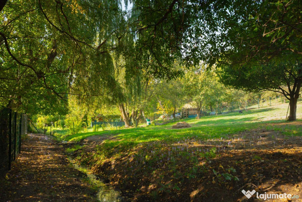 Teren Intravilan 3290 mp Codlea 3 Parcele