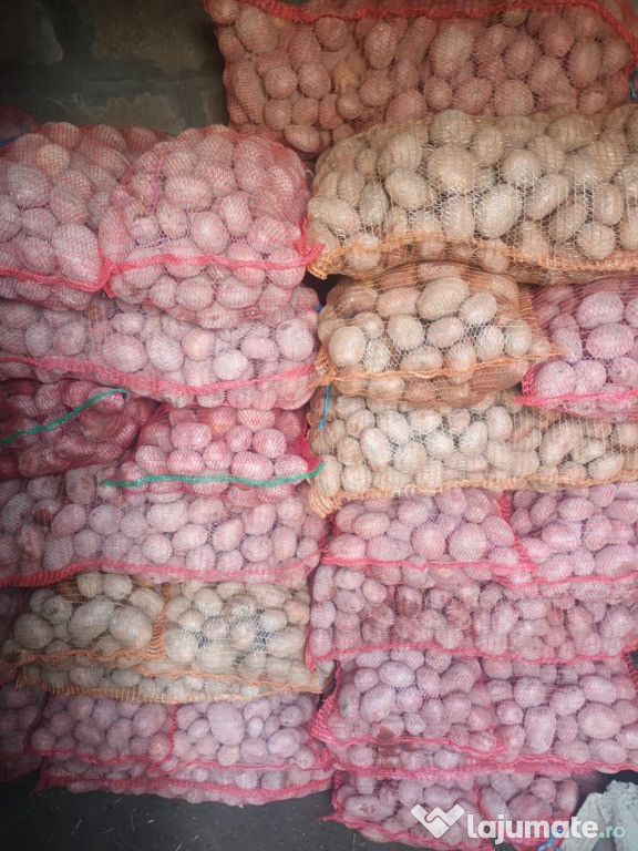 Cartofi de consum alb și roșu