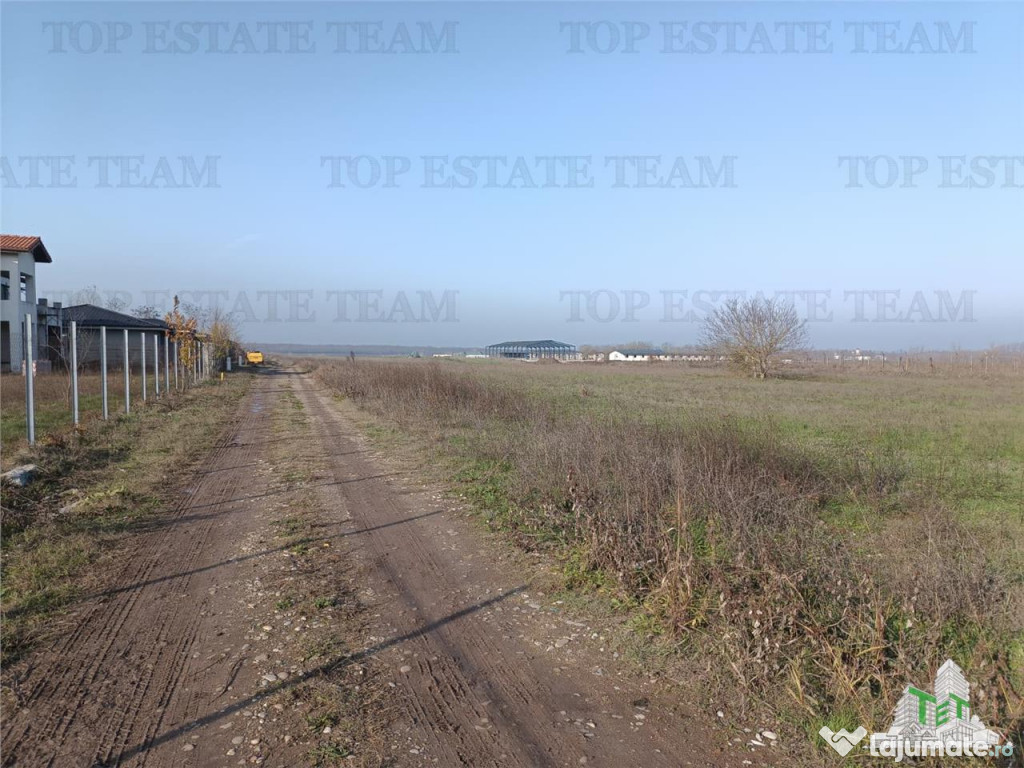 Super teren intravilan (Lot 2) la DJ 101, loc. Gruiu IF, id