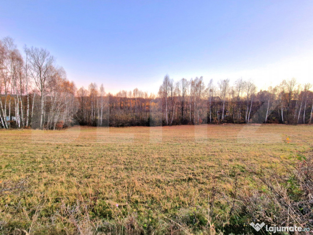Teren intravilan, 2100mp, utilitati la front, Luna de Sus