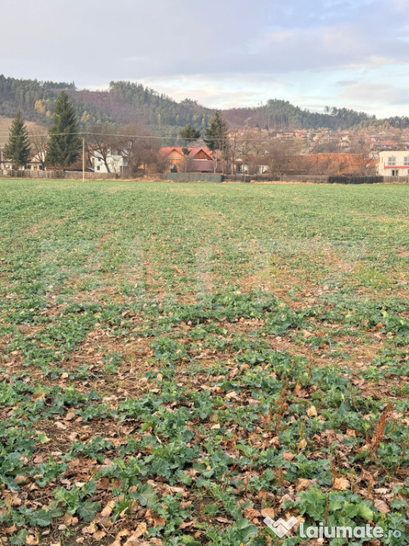 Teren de vânzare în Zărnești – 1150 m², poziție exce