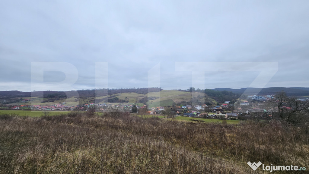 Teren intravilan 4756 mp de vanzare in Livezeni