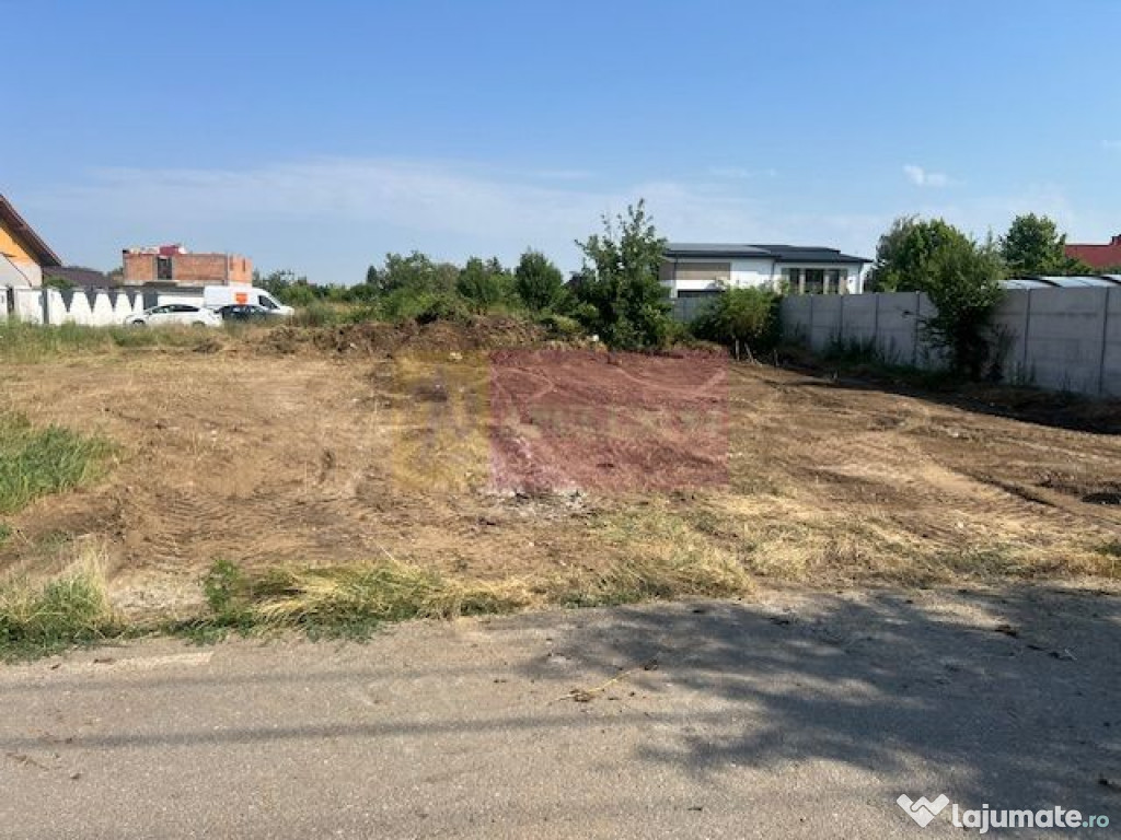 Teren Clinceni- Putul Olteni- Crizantemelor.