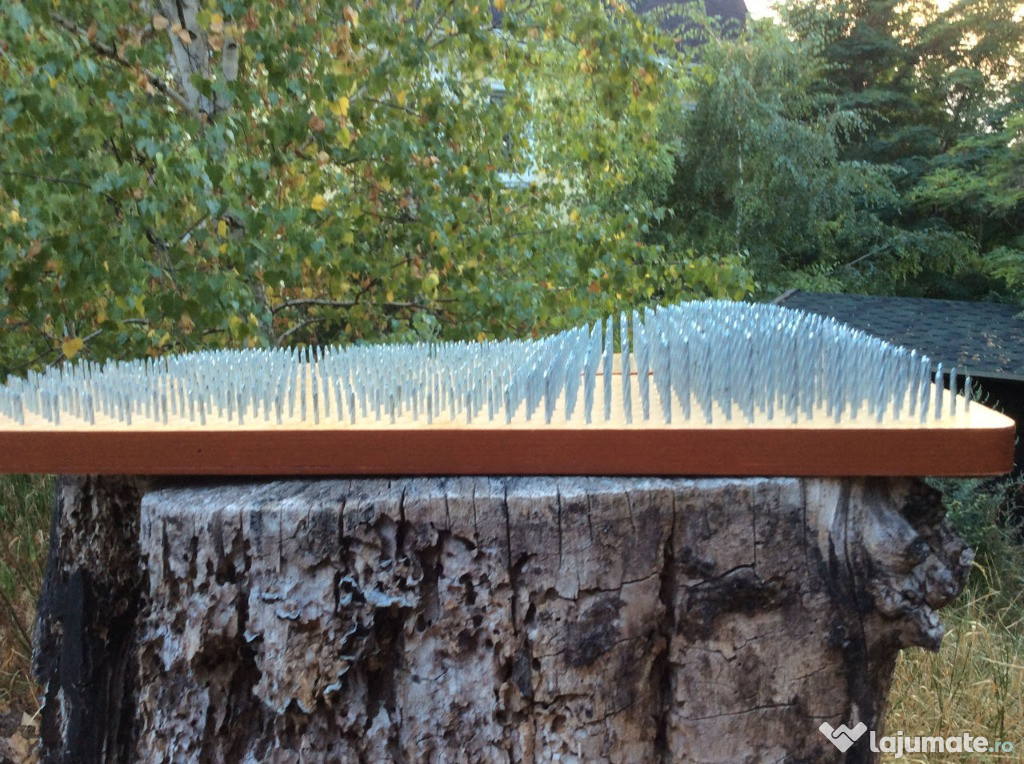 Placa anatomicа Sadhu.