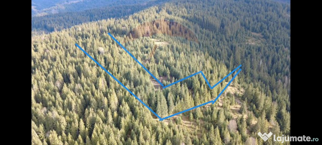 Teren 17,895mp Dorna-Arini / Prelungirea Cozănești