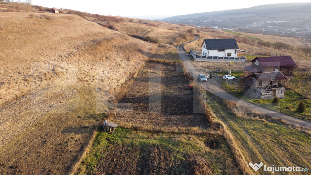 Teren de vanzare - Chinteni