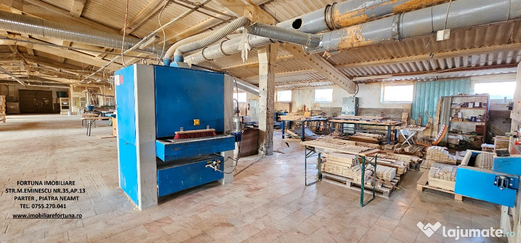 Complex imobiliar format din cladiri si constructii industriale+teren